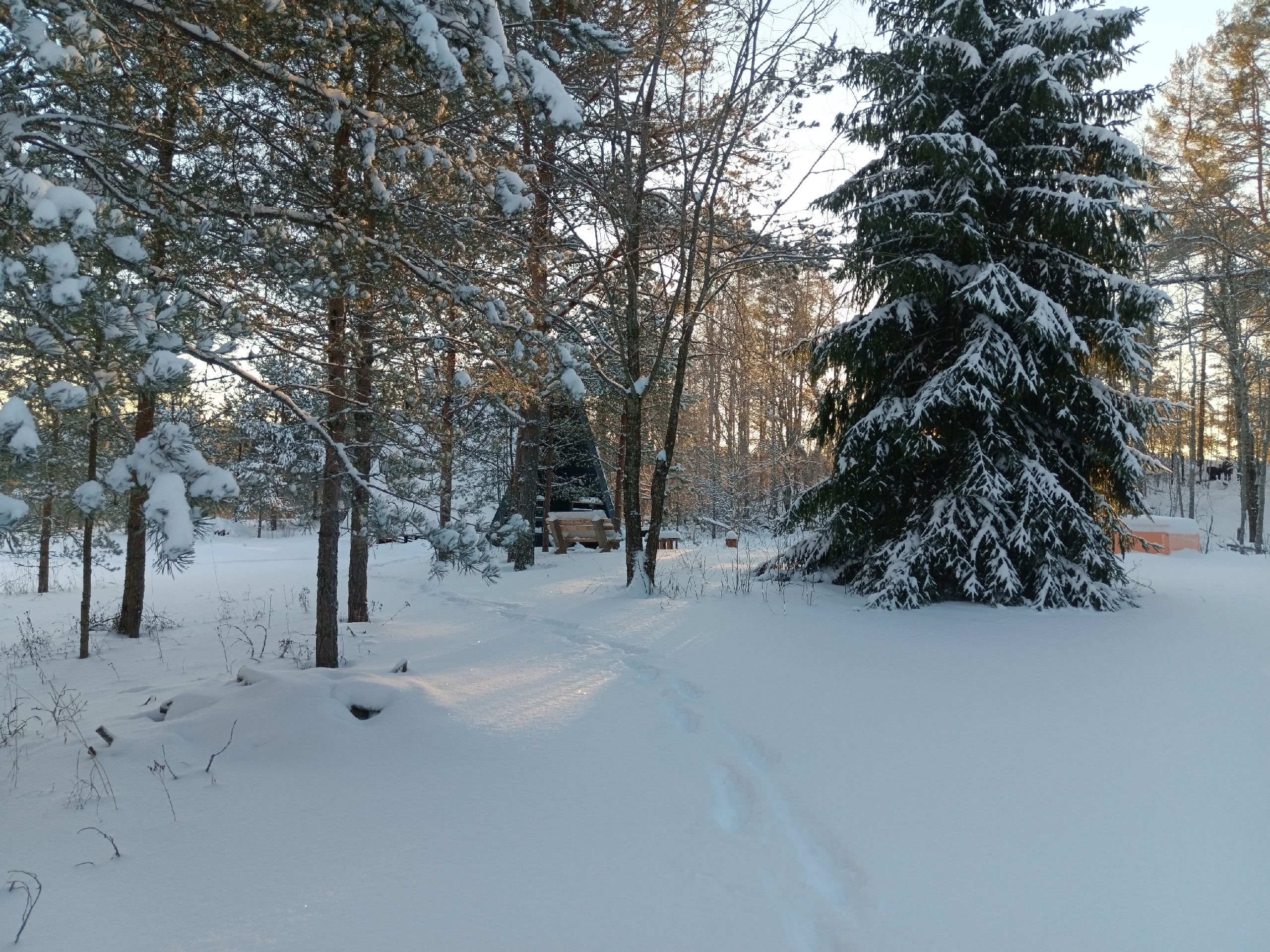 Фото дома