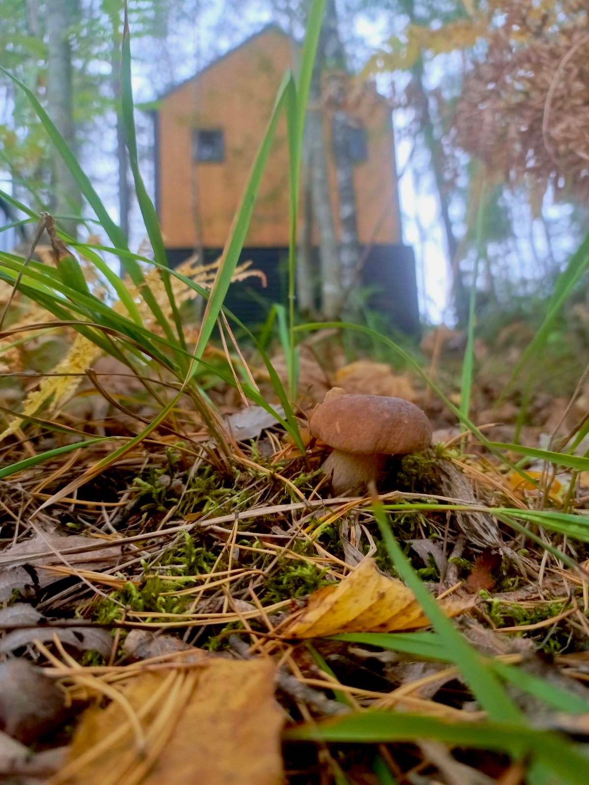 Фото дома