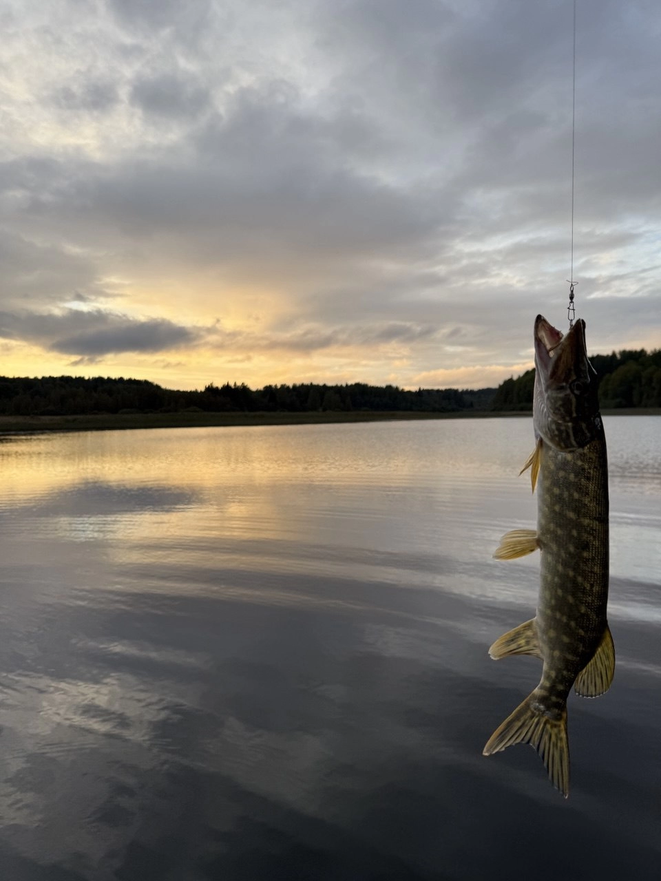 Фото Свой больший пирс с очаровательным видом на скалы