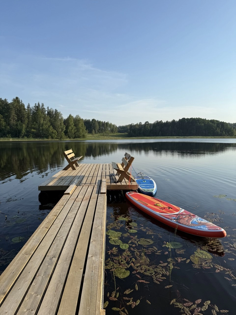 SUP-доски, вёсельные лодки, лодка с мотором.