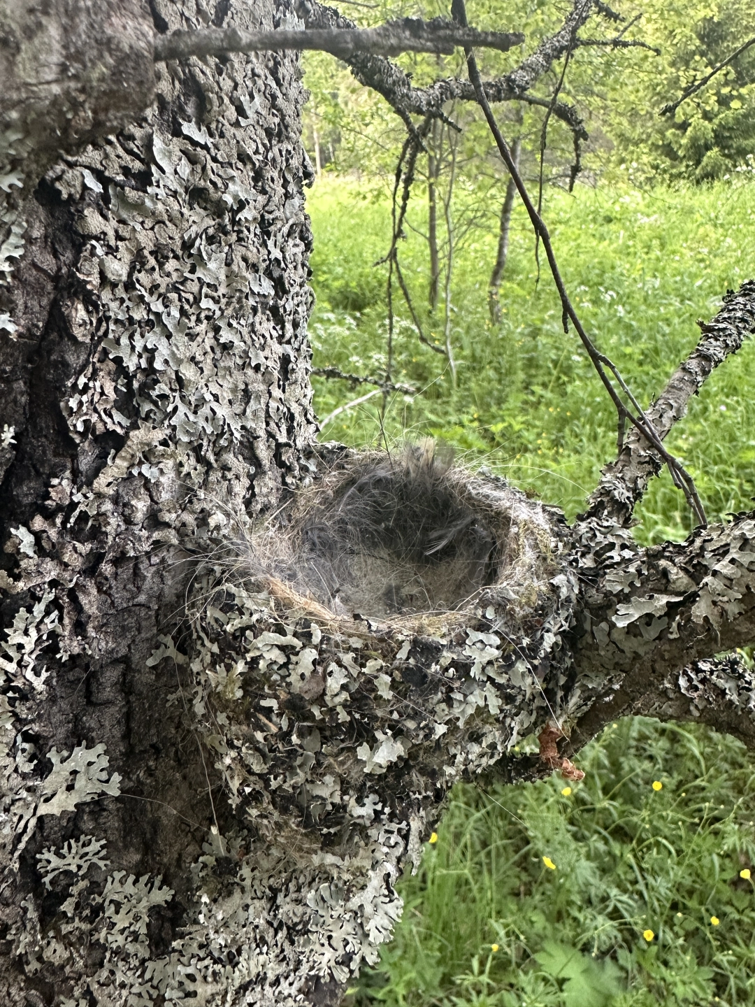 Фото Рыбалка