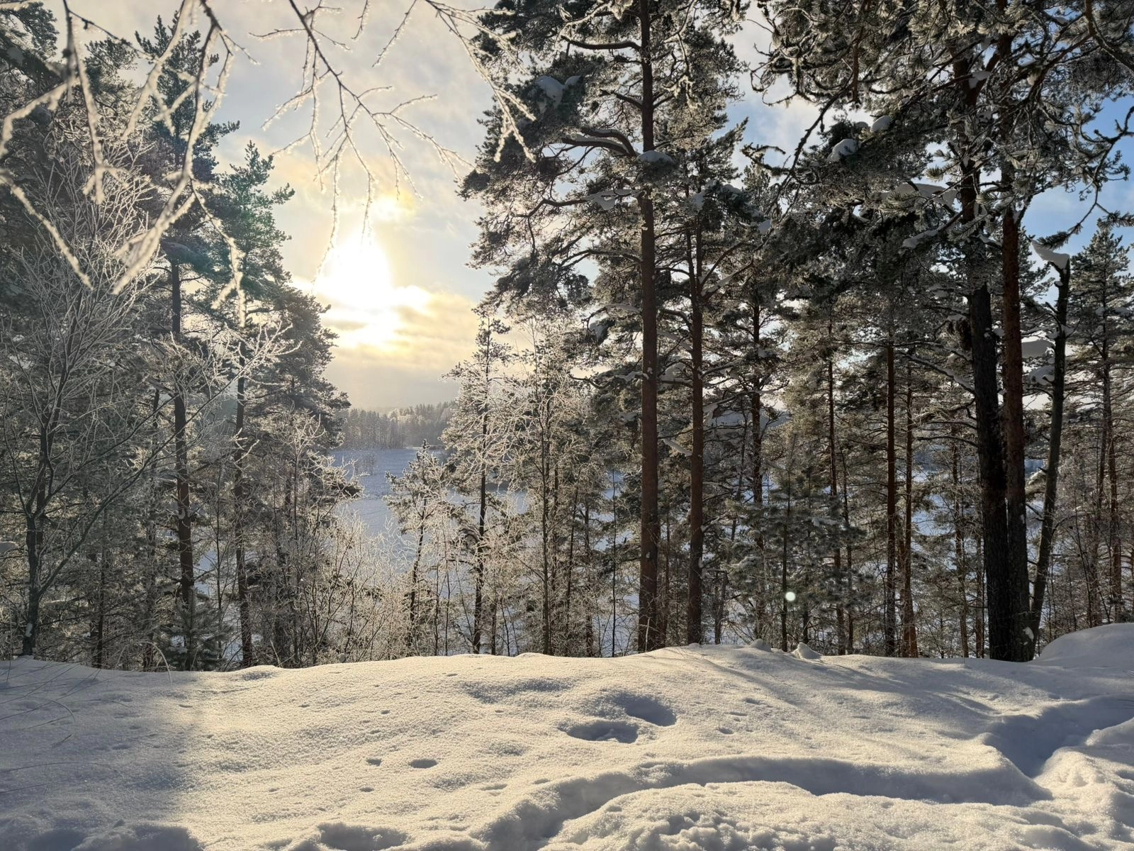 Фото Рыбалка