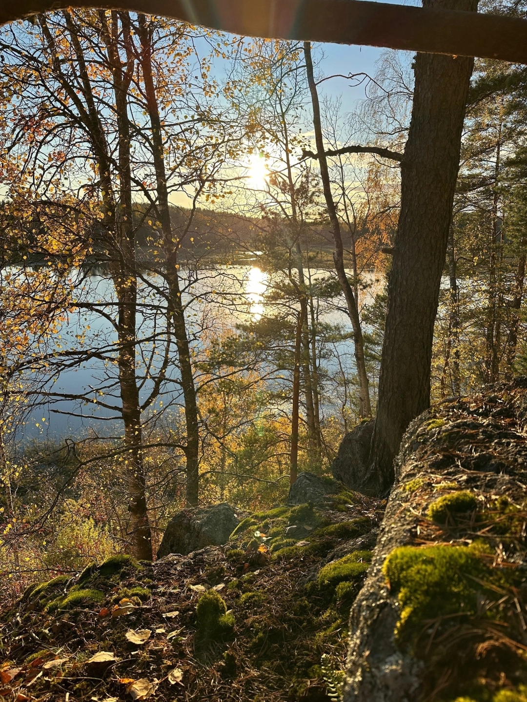 Фото Рыбалка