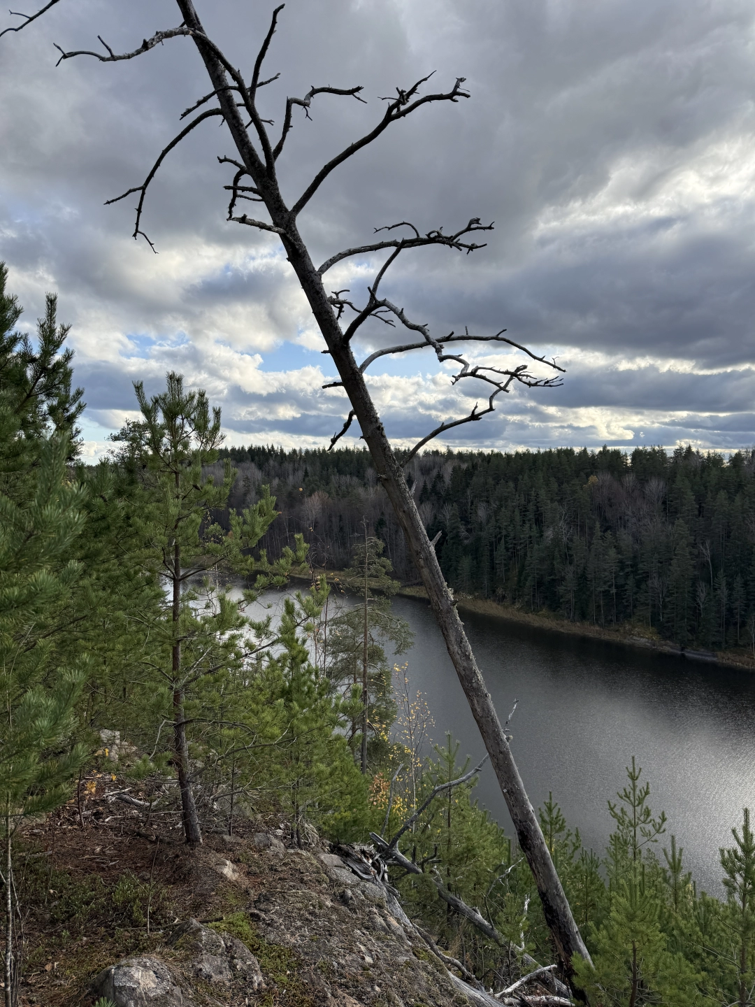 Фото Рыбалка