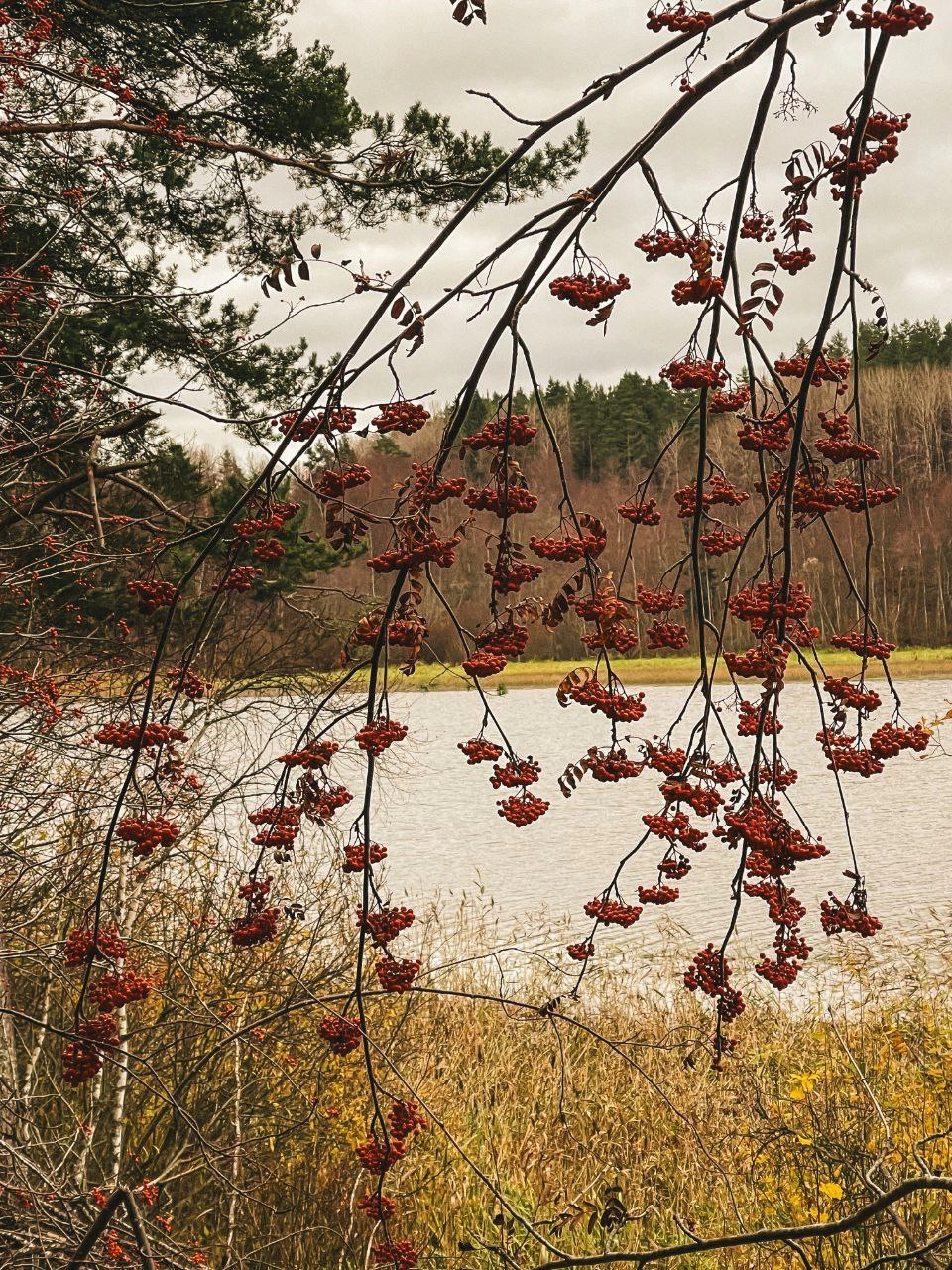 Фото Рыбалка