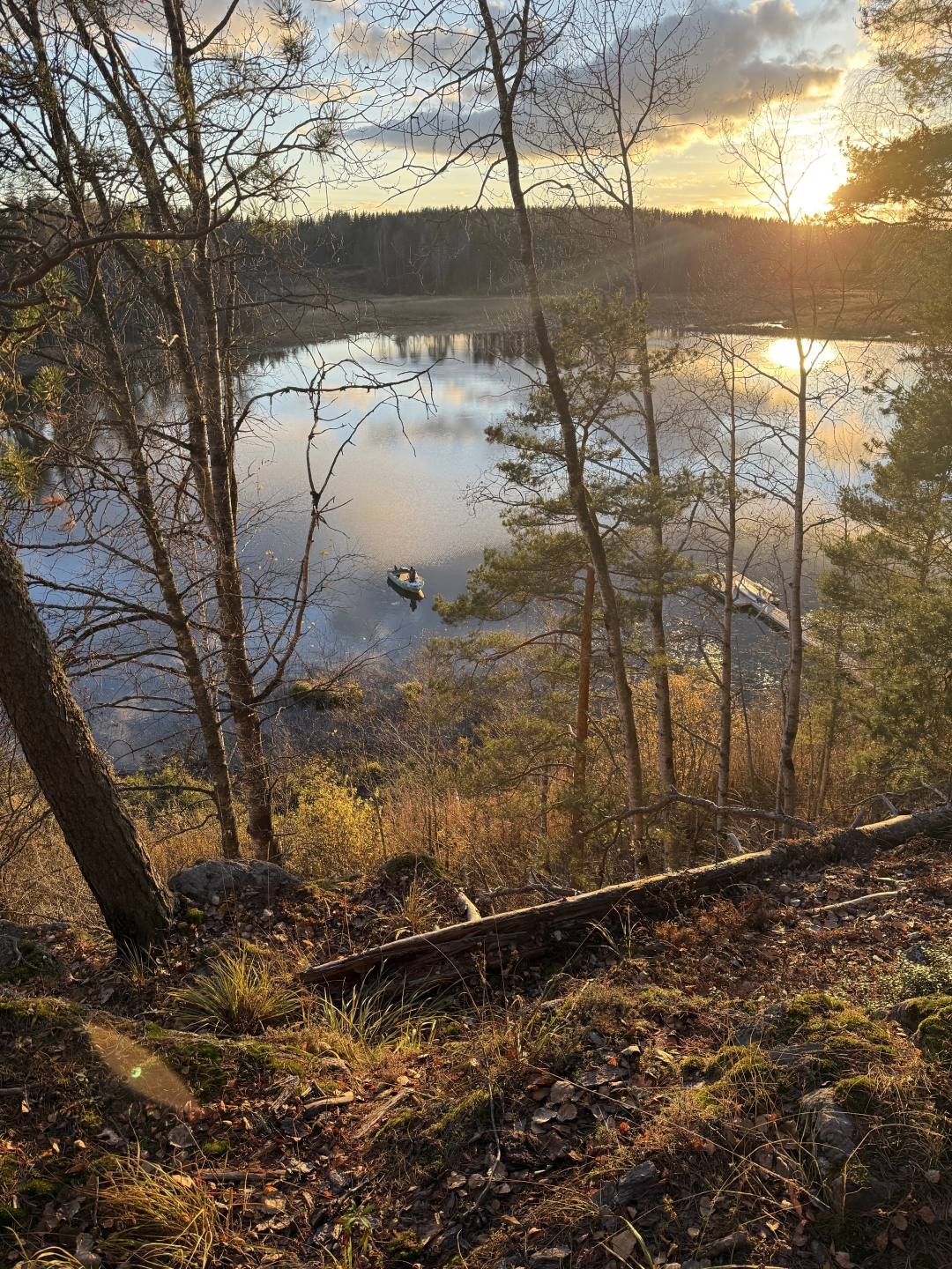 Походы и прогулки